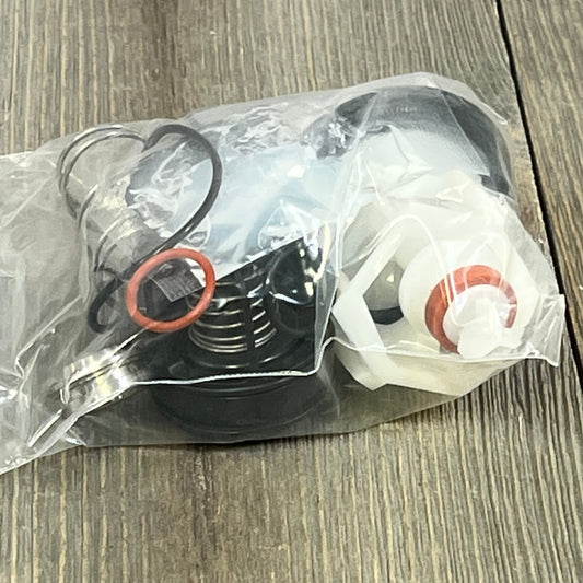 Repair kit components for 3/4" Reduced Pressure Zone Assembly, including relief valve and check valve parts.