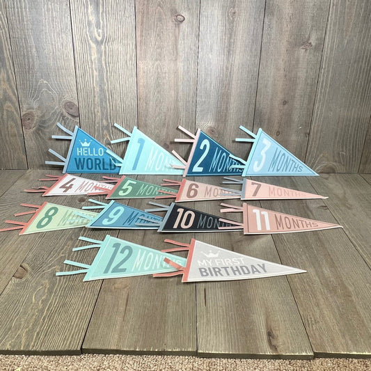 Ocean-themed baby milestone pennant signs for monthly celebrations, perfect for newborn birthday party decor.