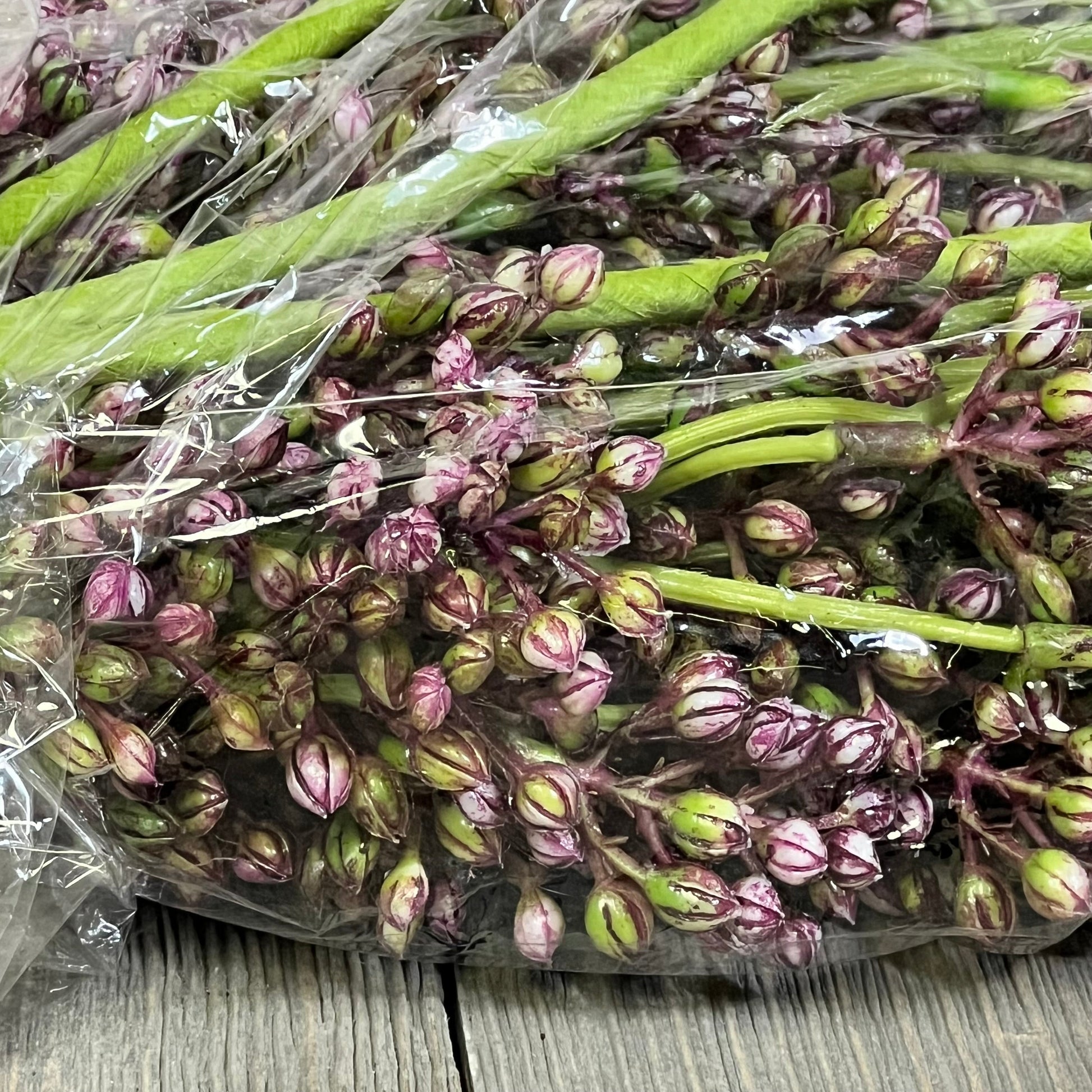 Artificial plum sedum berry stems wrapped in plastic, ideal for autumn farmhouse and Thanksgiving decorations.