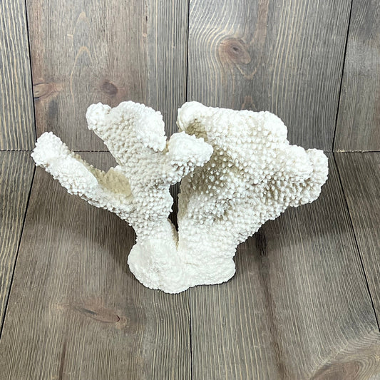 White faux coral statue on wooden surface, perfect for beach-themed home decor and nautical tabletop decoration.