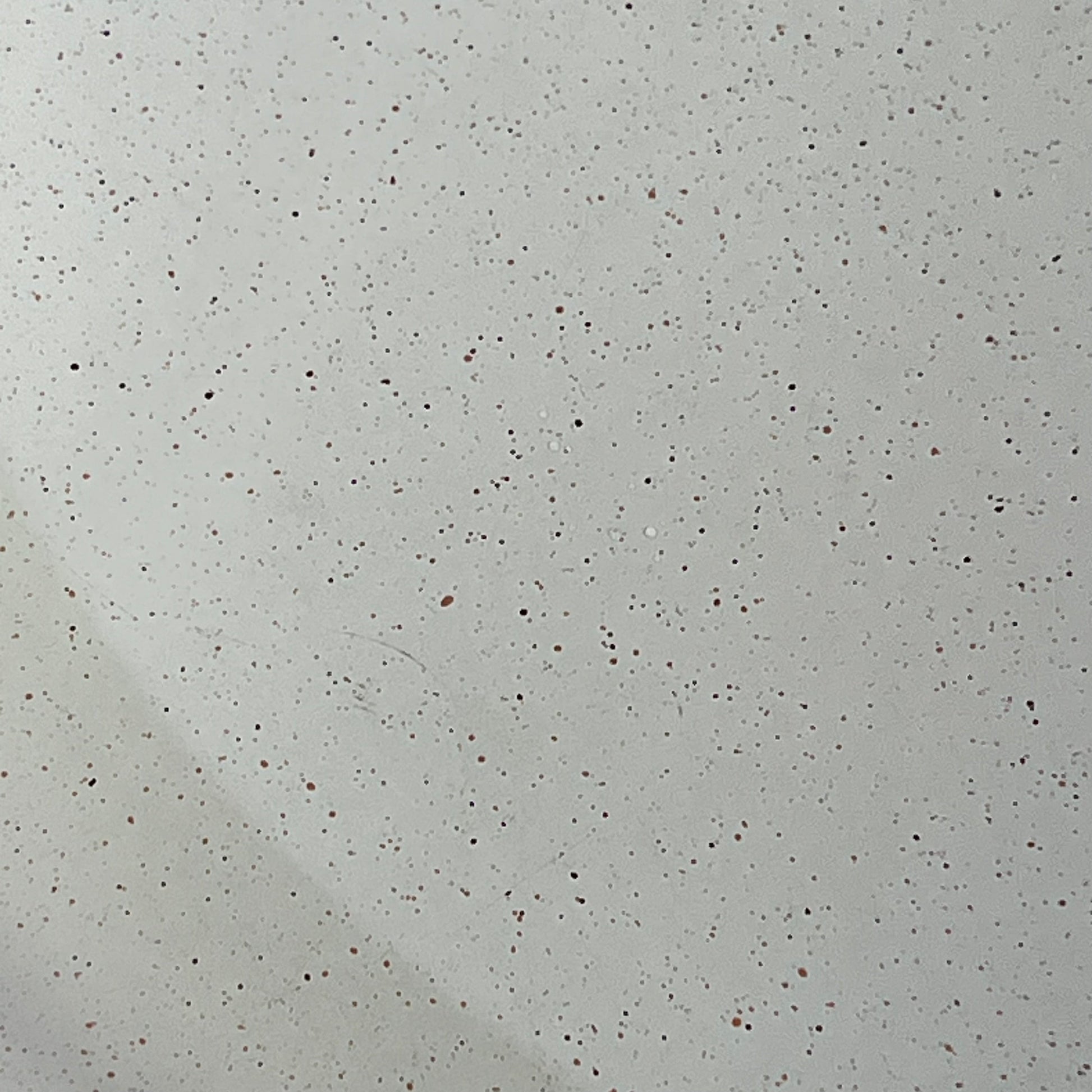 Close-up of SENSARTE 12.5-inch nonstick ceramic frying pan's white speckled surface, highlighting PFAS-free coating.